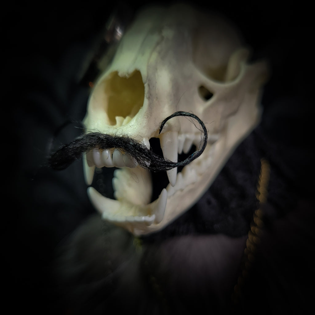 Silent Companion — handmade gothic art doll, made to order. One-of-a-kind puppet with real animal skull on antique decorative base, fully handmade original character. Dark collectible sculpture by Morbid Oddities.
