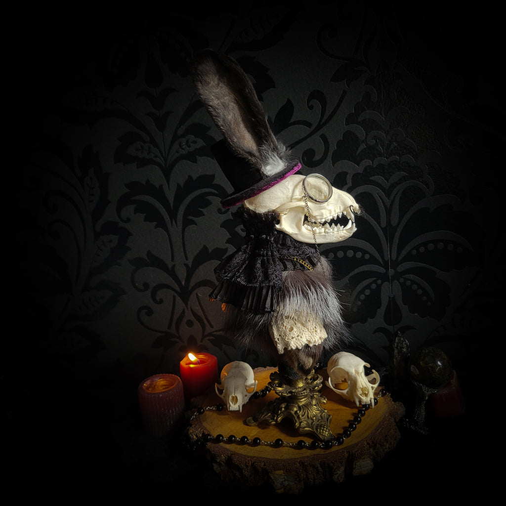 Silent Companion — handmade gothic art doll, made to order. One-of-a-kind puppet with real animal skull on antique decorative base, fully handmade original character. Dark collectible sculpture by Morbid Oddities.