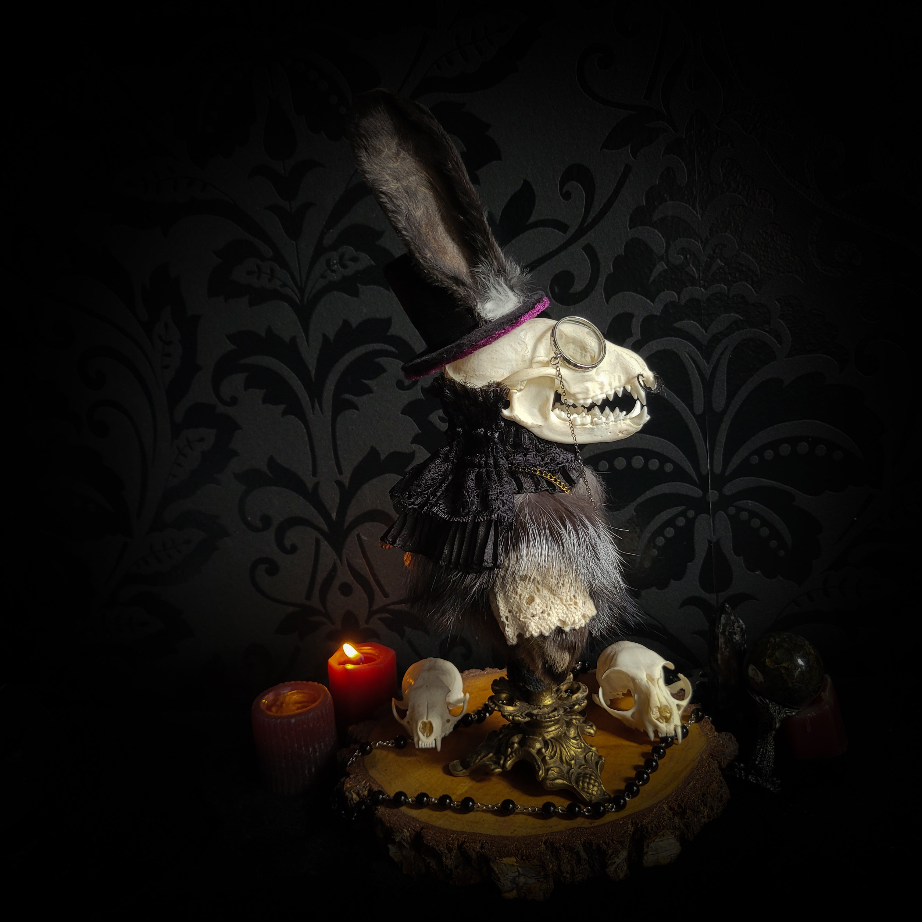 Silent Companion — handmade gothic art doll, made to order. One-of-a-kind puppet with real animal skull on antique decorative base, fully handmade original character. Dark collectible sculpture by Morbid Oddities.