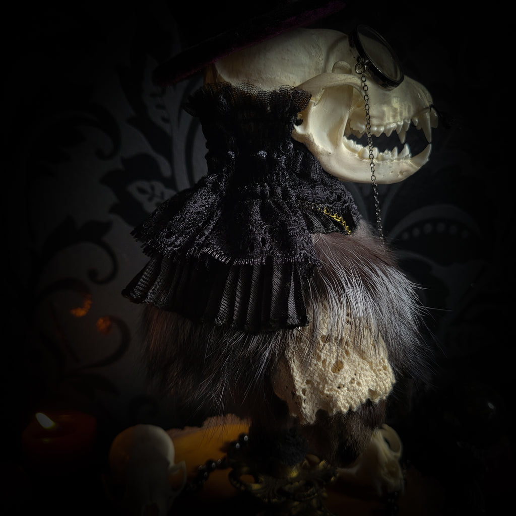 Silent Companion — handmade gothic art doll, made to order. One-of-a-kind puppet with real animal skull on antique decorative base, fully handmade original character. Dark collectible sculpture by Morbid Oddities.