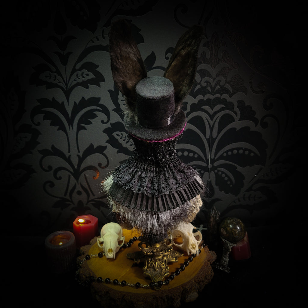 Silent Companion — handmade gothic art doll, made to order. One-of-a-kind puppet with real animal skull on antique decorative base, fully handmade original character. Dark collectible sculpture by Morbid Oddities.