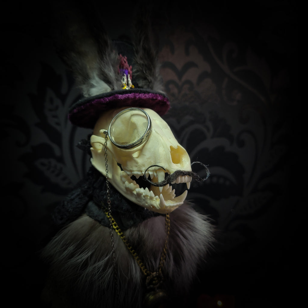Silent Companion — handmade gothic art doll, made to order. One-of-a-kind puppet with real animal skull on antique decorative base, fully handmade original character. Dark collectible sculpture by Morbid Oddities.