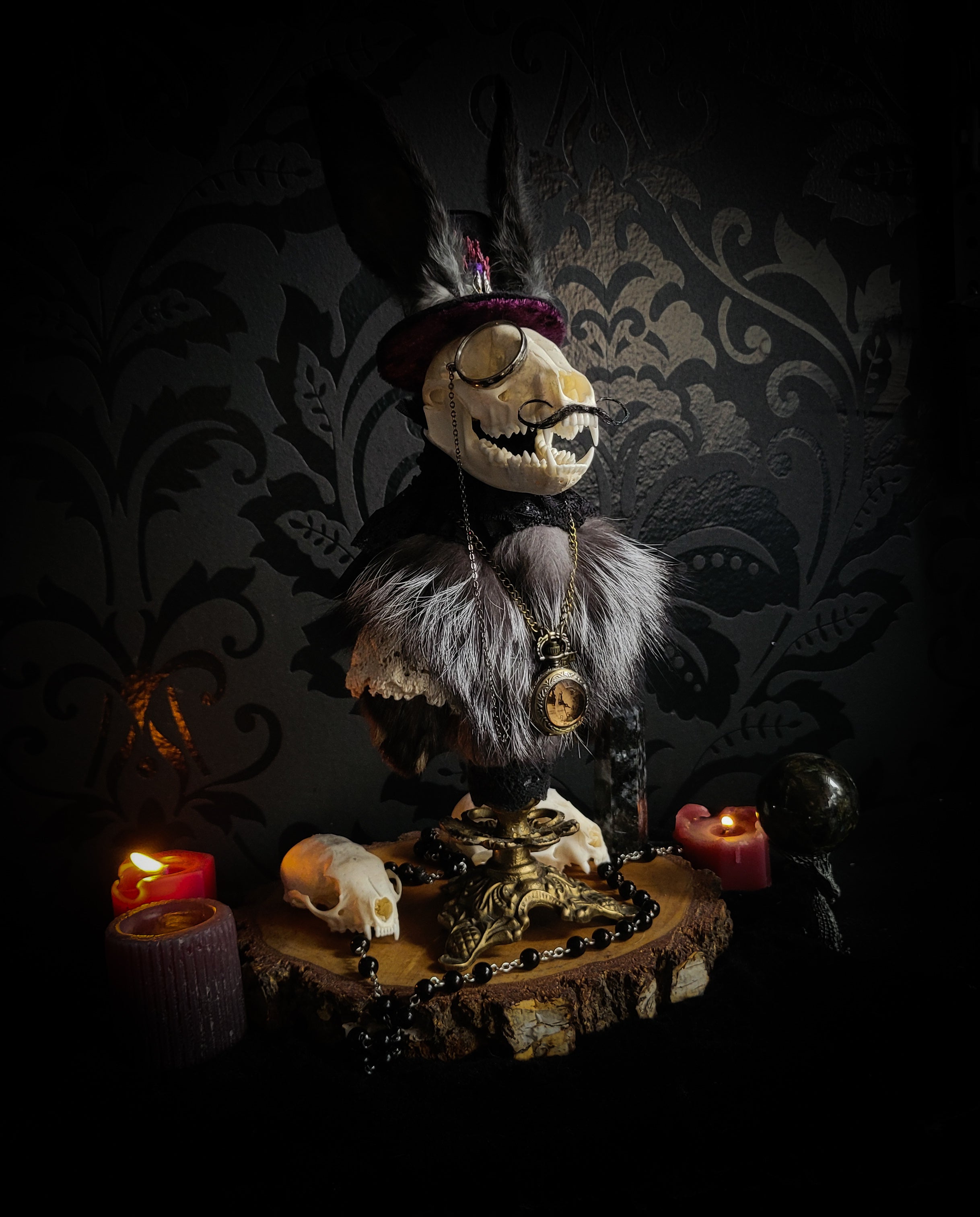Silent Companion — handmade gothic art doll, made to order. One-of-a-kind puppet with real animal skull on antique decorative base, fully handmade original character. Dark collectible sculpture by Morbid Oddities.