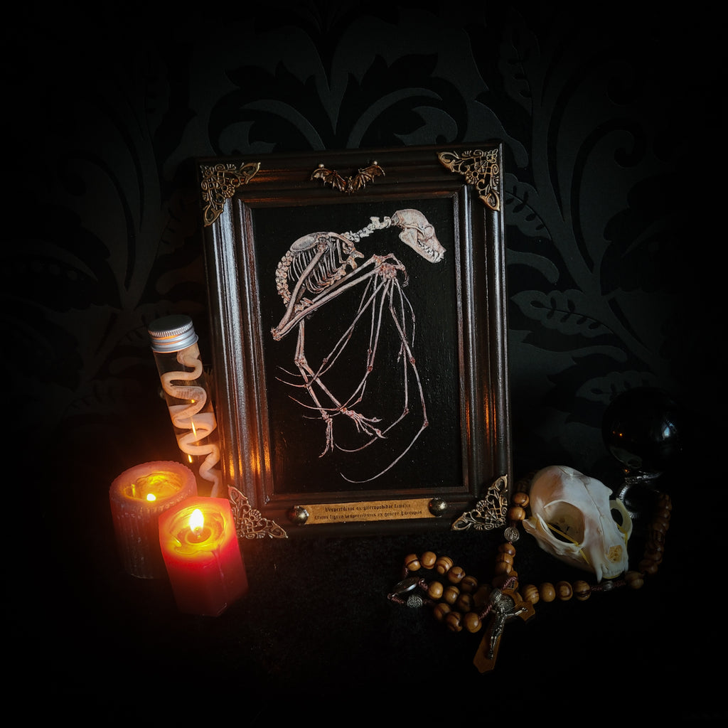 Custom Painting — hand-painted gothic skull and skeleton artwork, made to order. Realistic anatomical painting on canvas in handmade wooden frame, sealed with protective varnish. Original dark art commission by Morbid Oddities.

