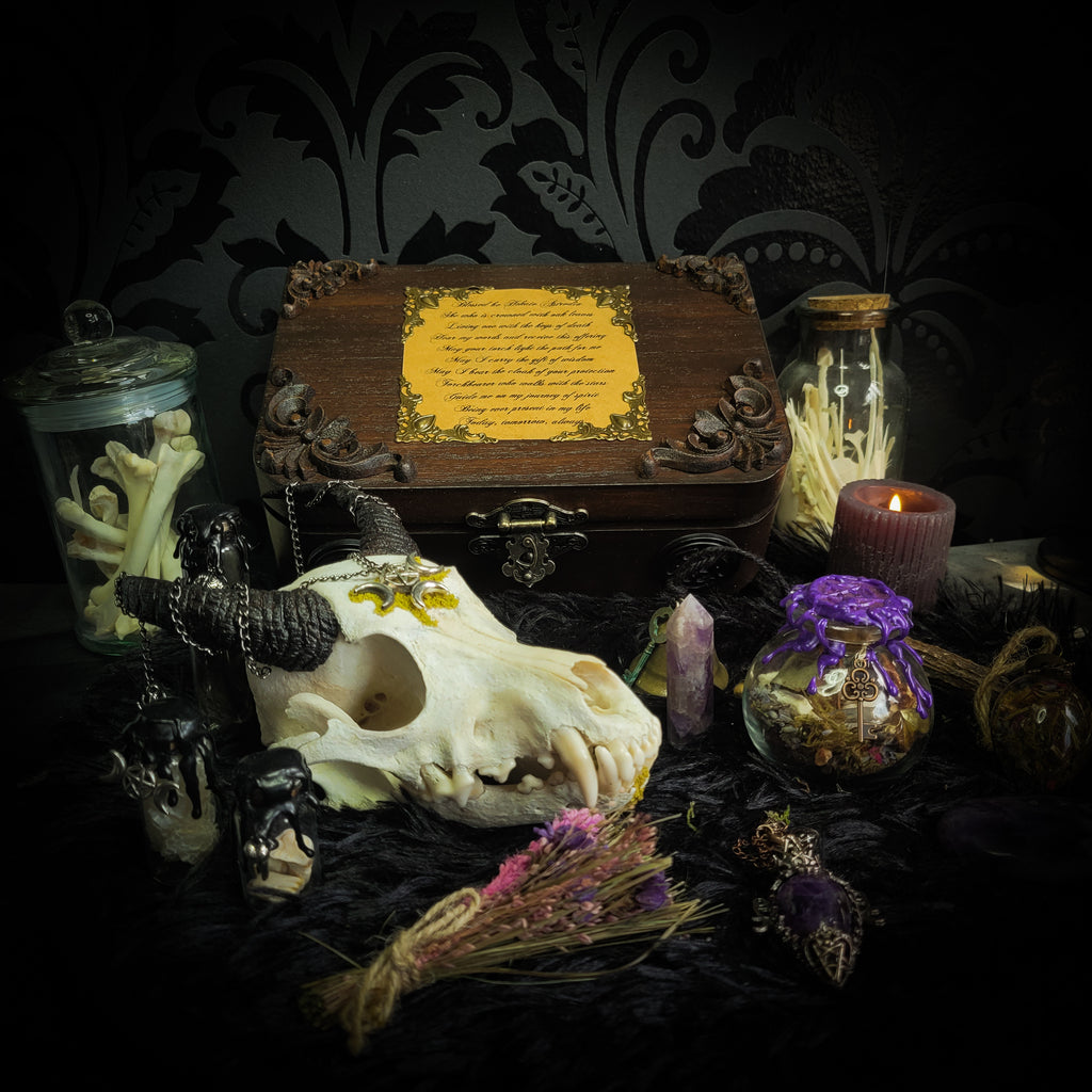 Deity Devotion Casket — handmade gothic deity altar casket, made to order. Fully custom devotional box with handcrafted wooden base, symbolic elements, spell jars, bones, crystals and ritual objects. Dark witchcraft commission by Morbid Oddities.