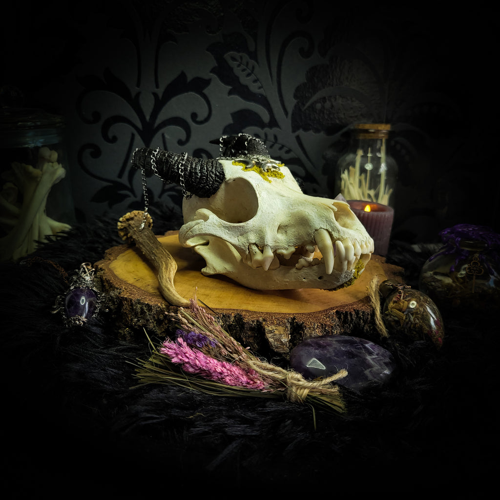 Deity Devotion Casket — handmade gothic deity altar casket, made to order. Fully custom devotional box with handcrafted wooden base, symbolic elements, spell jars, bones, crystals and ritual objects. Dark witchcraft commission by Morbid Oddities.