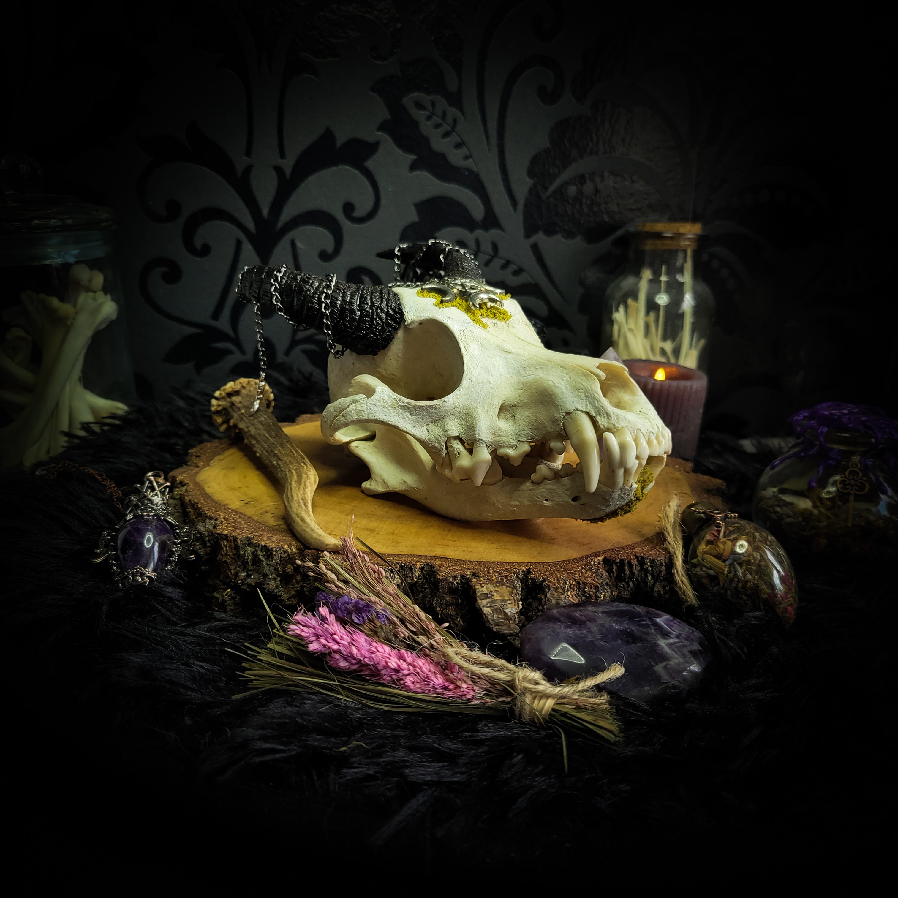 Deity Devotion Casket — handmade gothic deity altar casket, made to order. Fully custom devotional box with handcrafted wooden base, symbolic elements, spell jars, bones, crystals and ritual objects. Dark witchcraft commission by Morbid Oddities.