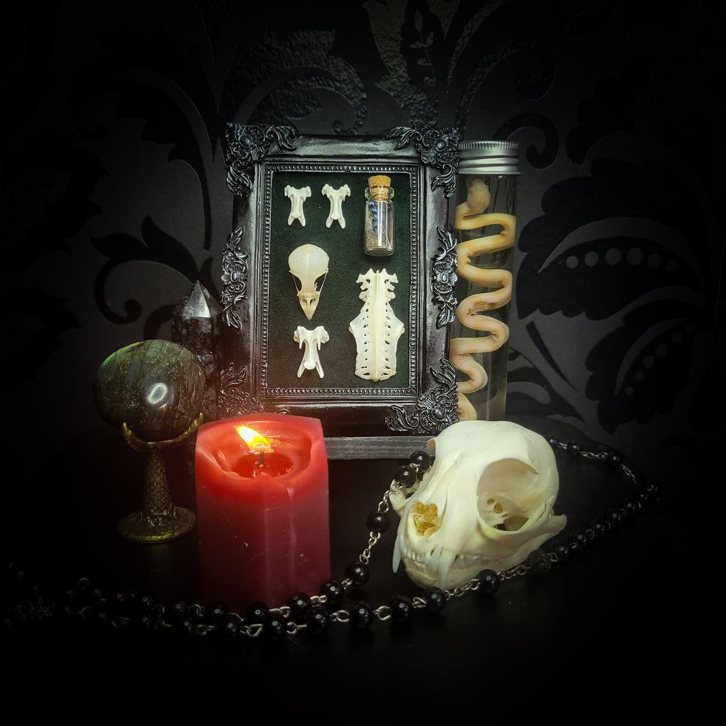 handmade gothic shadowbox bird skull vertebrae feathers green velvet hand-cast frame dark wall decor