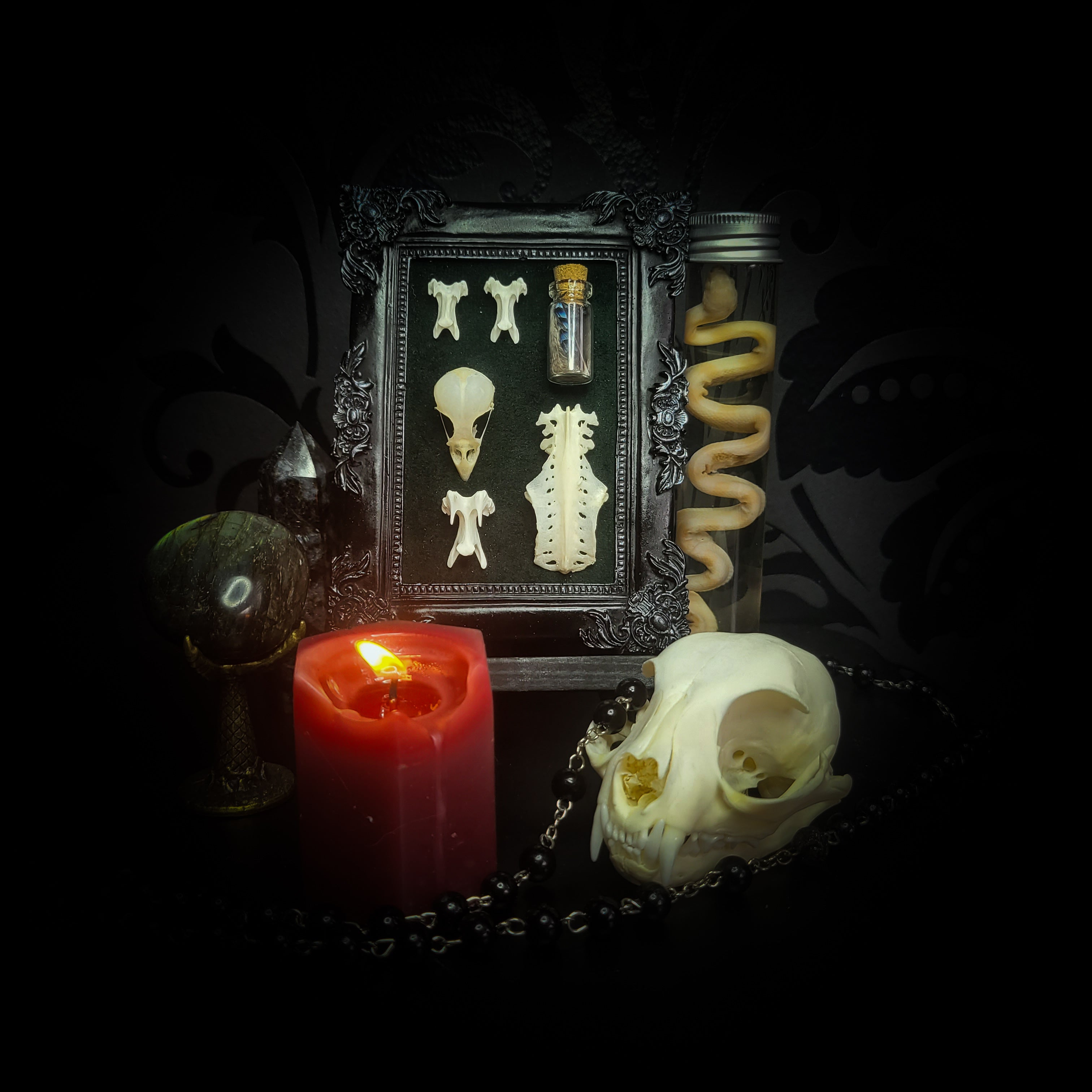handmade gothic shadowbox bird skull vertebrae feathers green velvet hand-cast frame dark wall decor