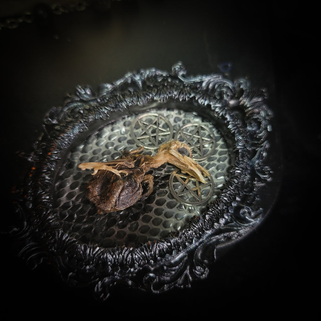 Decorative metal object with intricate design and a small insect on a dark background v