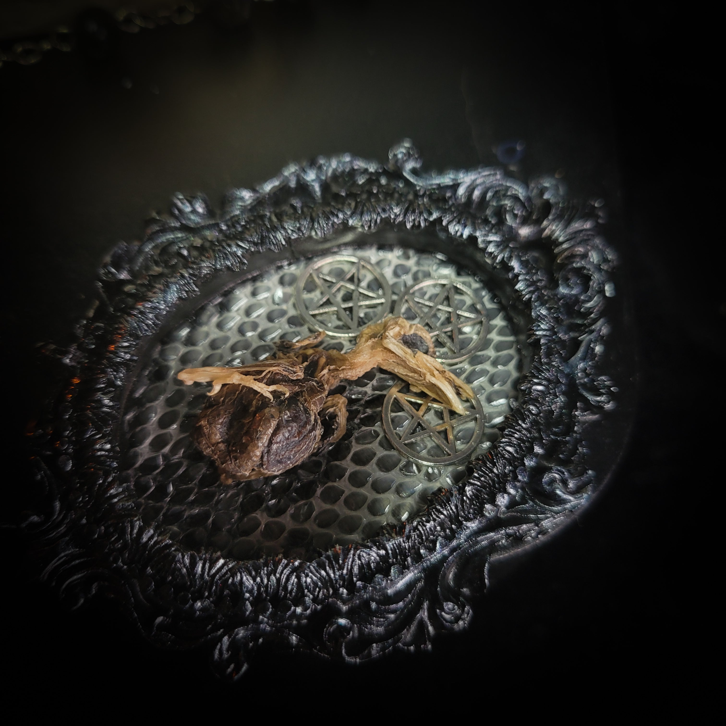 Decorative metal object with intricate design and a small insect on a dark background v