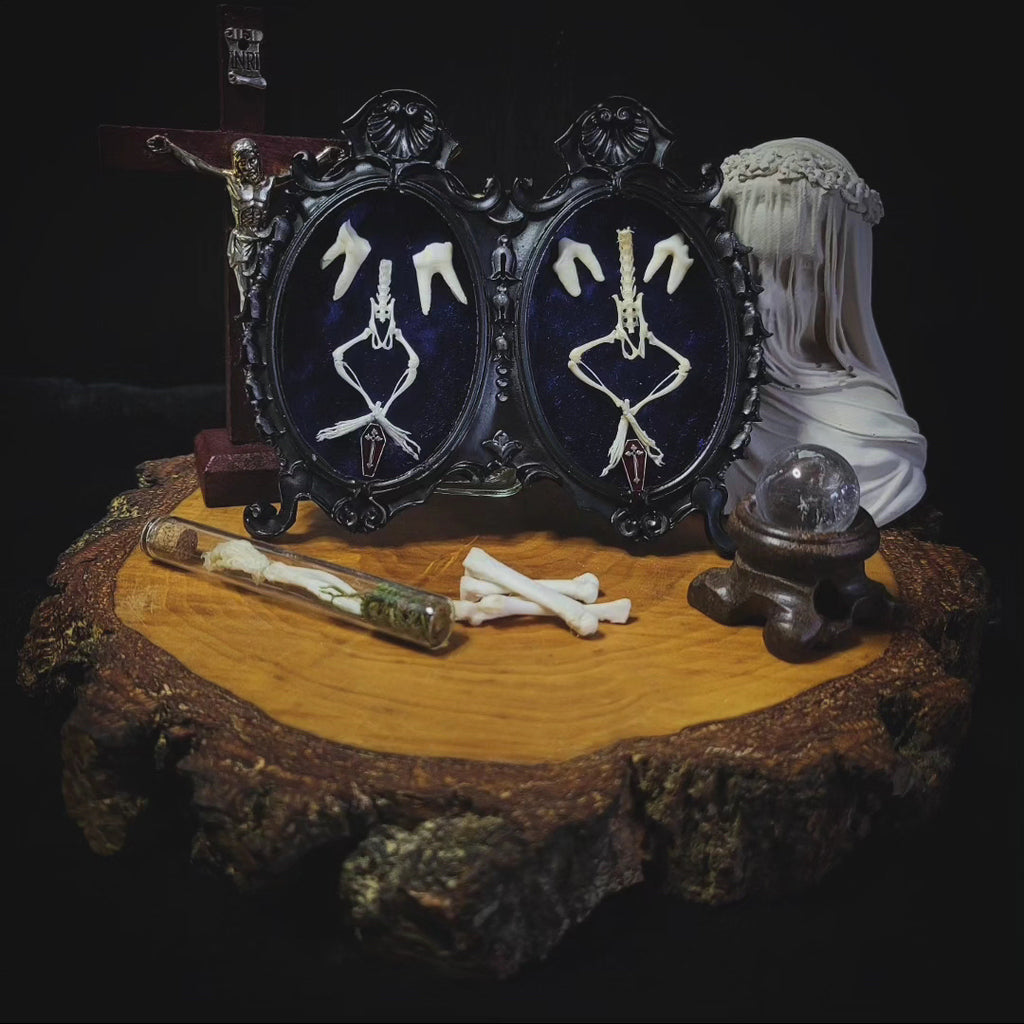 Decorative display with skeleton hands, crystal ball, and bones on a wooden base. Handmade gothic twin frame with mirrored mouse skeletons on dark blue velvet, baroque double frame