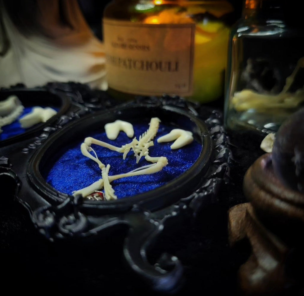 Decorative skeleton on blue sand with bottles and candles in the background Handmade gothic twin frame with mirrored mouse skeletons on dark blue velvet, baroque double frame
