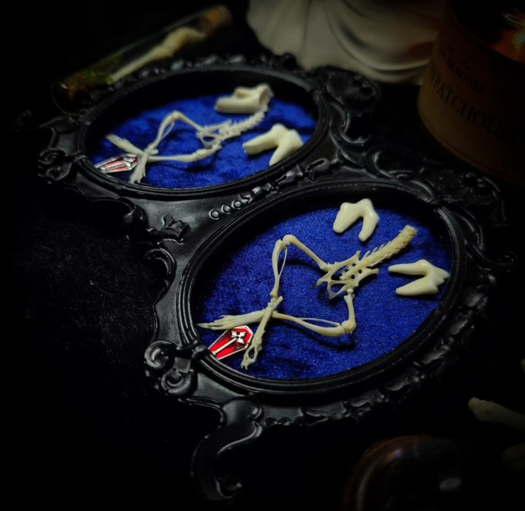 Decorative elements with skeleton hands and feet on blue fabric inside ornate black frames.Handmade gothic twin frame with mirrored mouse skeletons on dark blue velvet, baroque double frame
