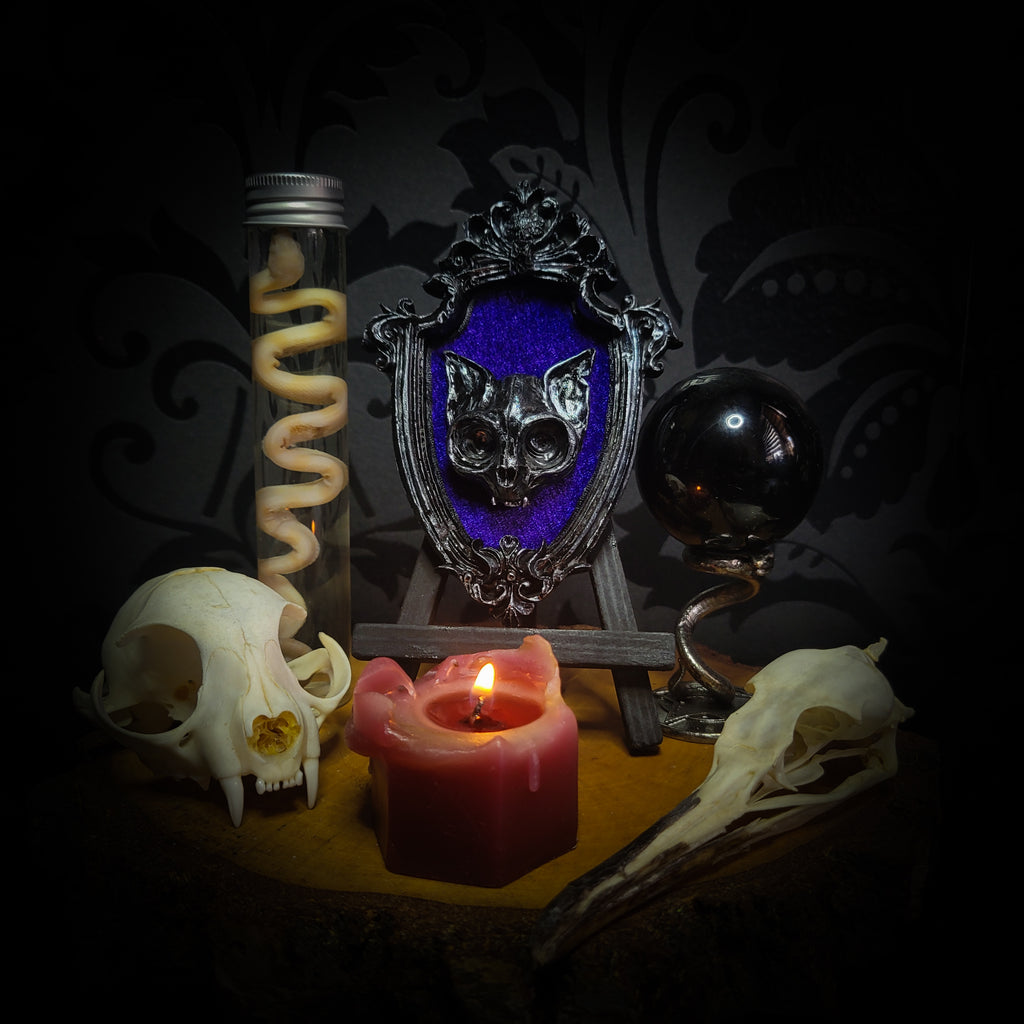 Handmade gothic shadowbox — hand-cast cat skull on velvet, ornate baroque frame, vampiric design, made to order, 8x12cm
