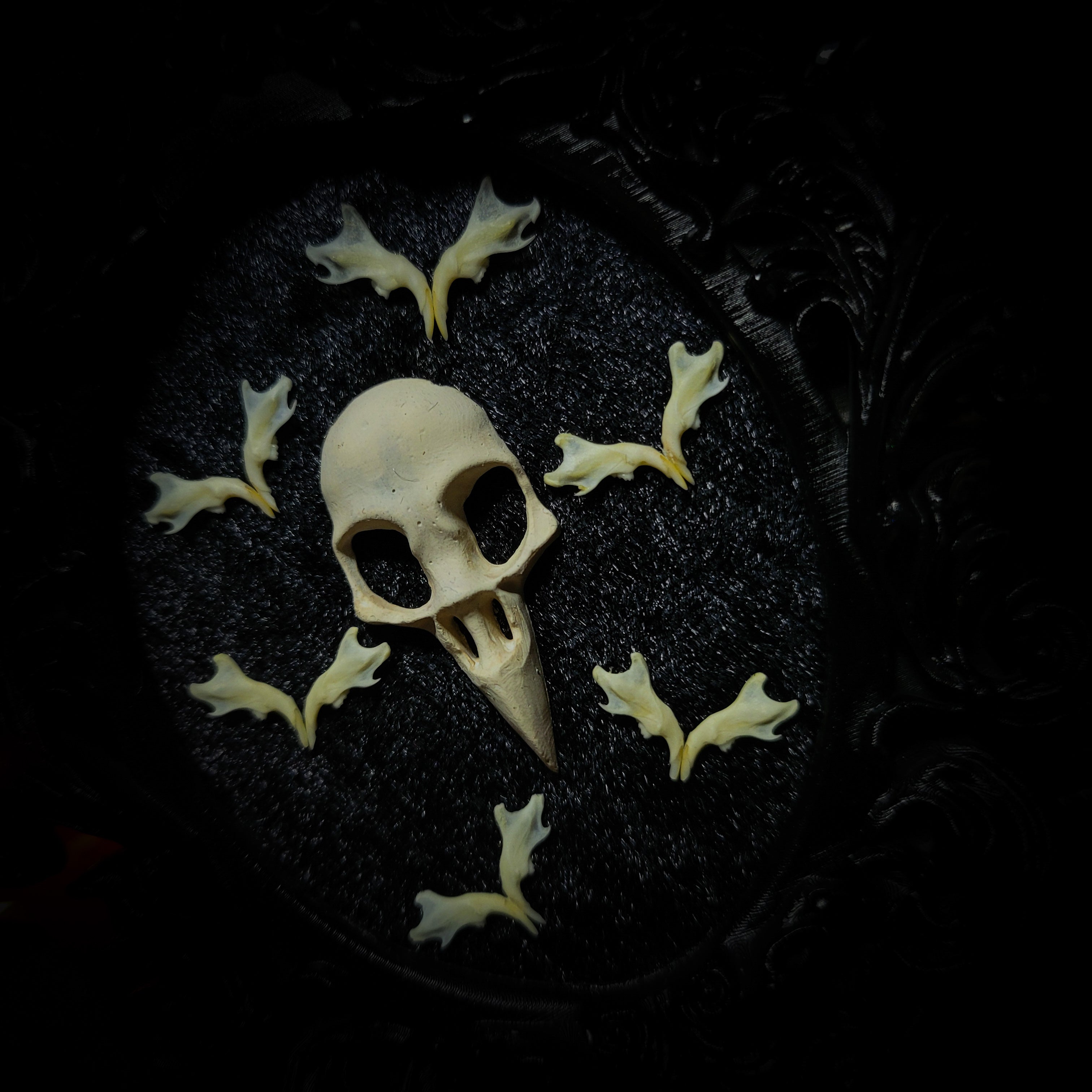Halloween | Small Relics — handmade gothic wall frame with hand-cast crow skull, mouse jaws arranged in bat formation on black velvet textured background in hand-painted gothic frame, 12.5x10.5cm
