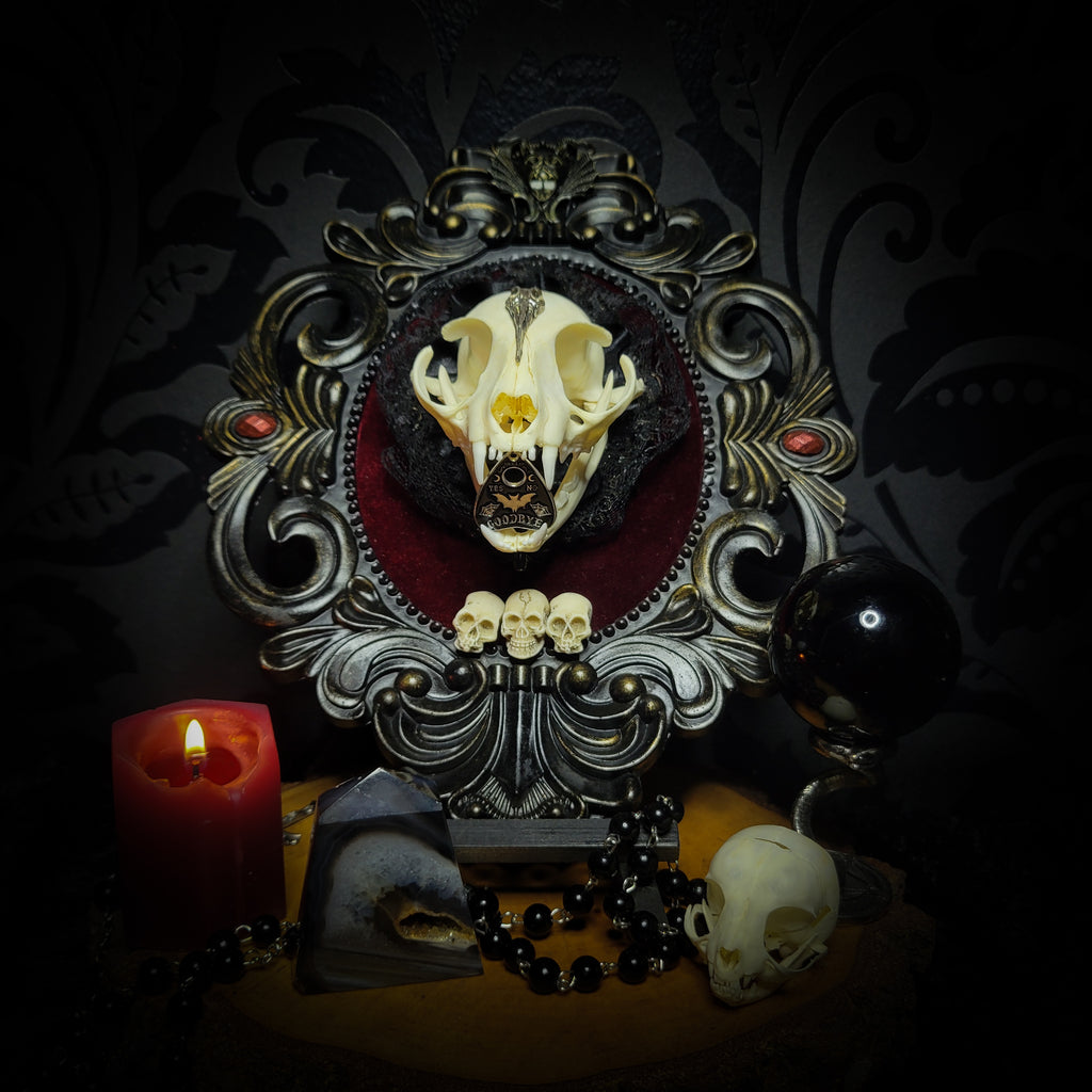 Gothic Kitten | Gothic — handmade gothic wall decor with real cat skull, Ouija planchette and baroque ornamental frame on deep red velvet, dark occult aesthetic, 24x20.5cm