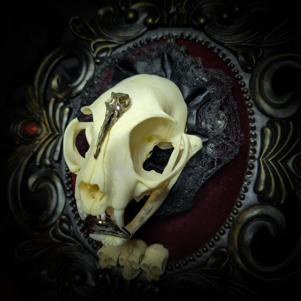 Gothic Kitten | Gothic — handmade gothic wall decor with real cat skull, Ouija planchette and baroque ornamental frame on deep red velvet, dark occult aesthetic, 24x20.5cm