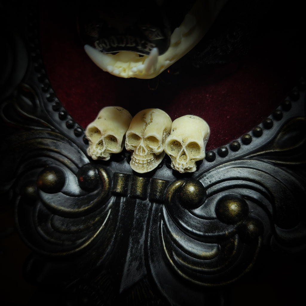 Gothic Kitten | Gothic — handmade gothic wall decor with real cat skull, Ouija planchette and baroque ornamental frame on deep red velvet, dark occult aesthetic, 24x20.5cm