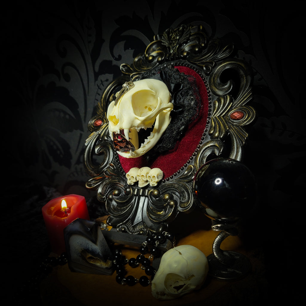 Gothic Kitten | Gothic — handmade gothic wall decor with real cat skull, Ouija planchette and baroque ornamental frame on deep red velvet, dark occult aesthetic, 24x20.5cm