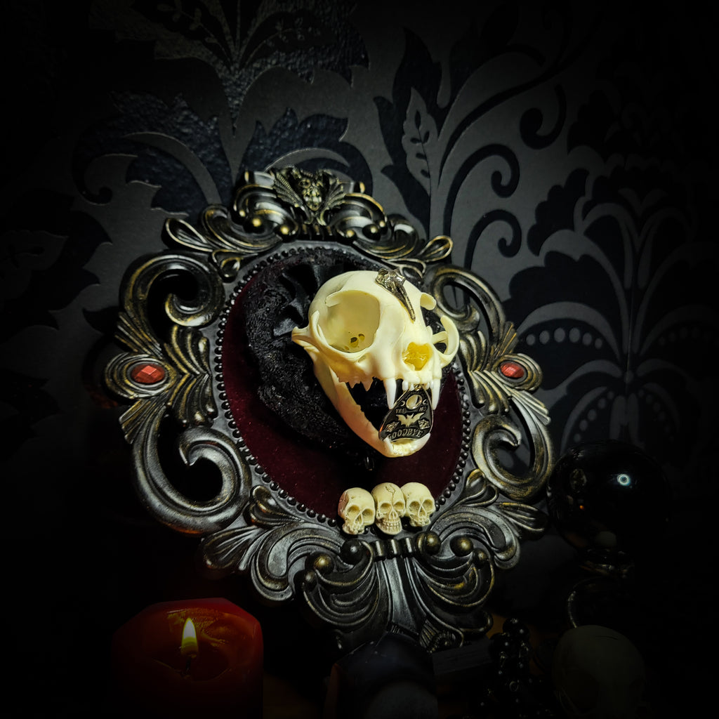 Gothic Kitten | Gothic — handmade gothic wall decor with real cat skull, Ouija planchette and baroque ornamental frame on deep red velvet, dark occult aesthetic, 24x20.5cm