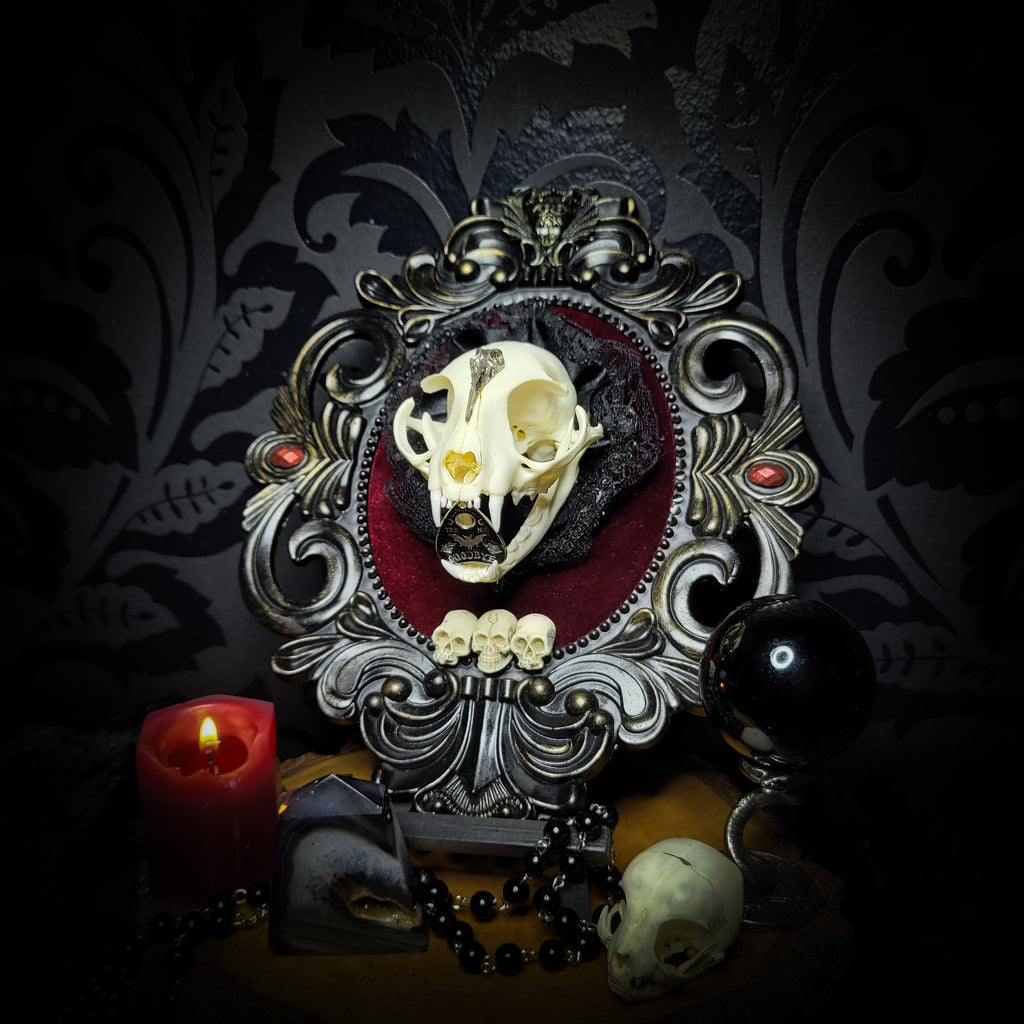 Gothic Kitten | Gothic — handmade gothic wall decor with real cat skull, Ouija planchette and baroque ornamental frame on deep red velvet, dark occult aesthetic, 24x20.5cm