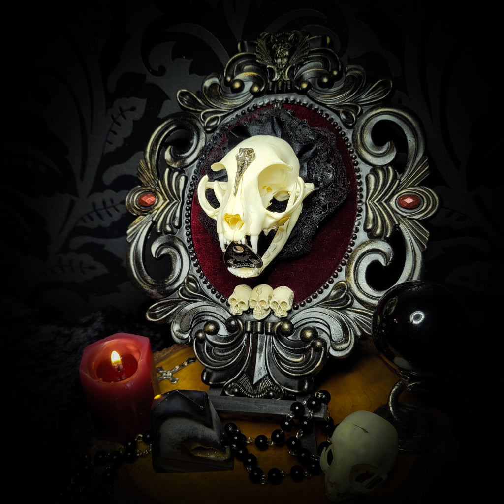 Gothic Kitten | Gothic — handmade gothic wall decor with real cat skull, Ouija planchette and baroque ornamental frame on deep red velvet, dark occult aesthetic, 24x20.5cm