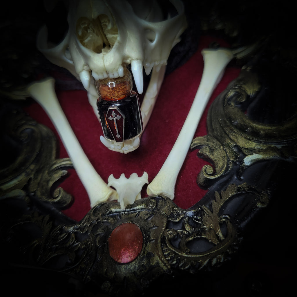 Skull with a bottle of dark liquid on a red surface, surrounded by ornate gold frames.Baroque Kitten – real cat skull on red velvet in hand-cast baroque frame, gothic vampire wall decor