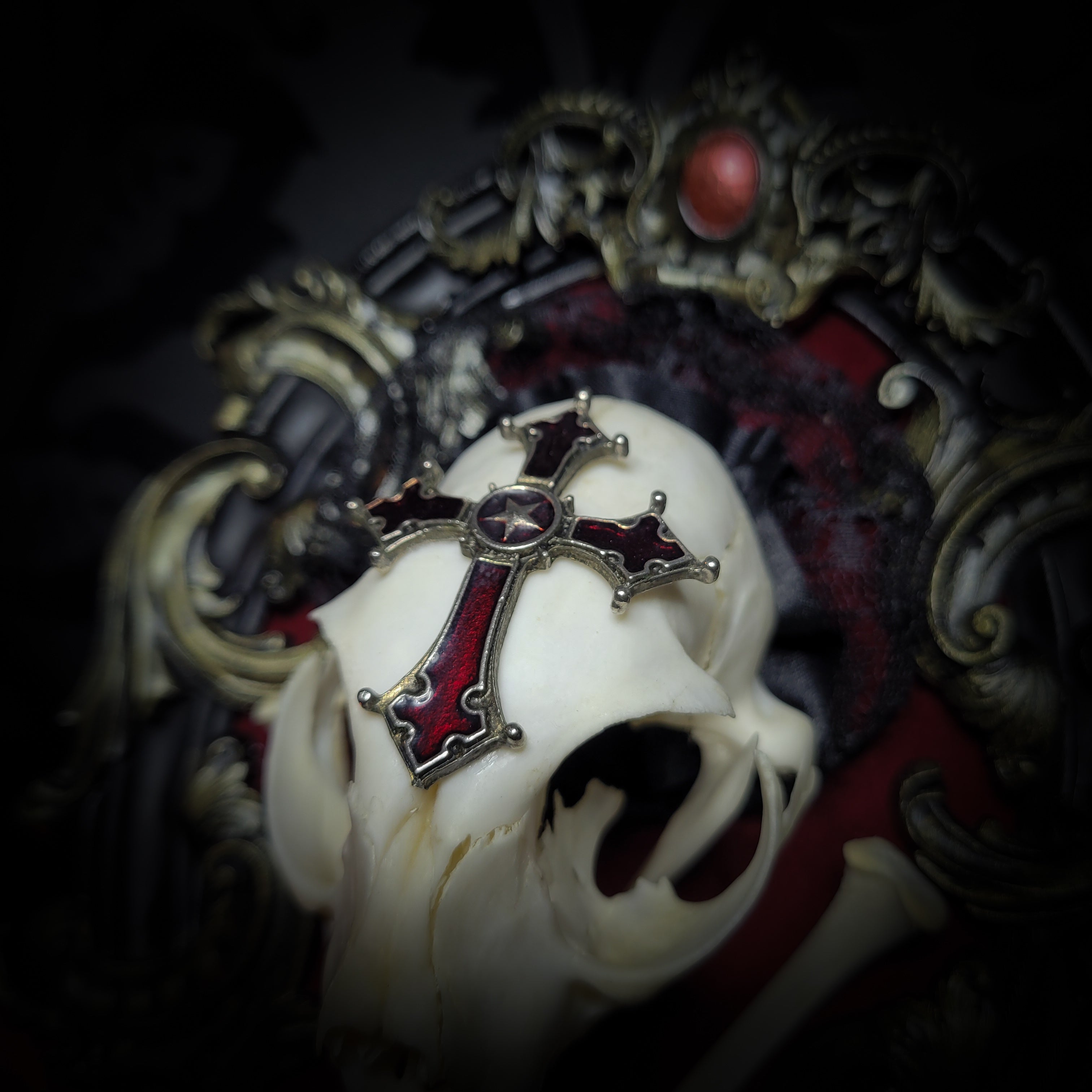 Decorative skull with a cross pendant on a dark background Baroque Kitten – real cat skull on red velvet in hand-cast baroque frame, gothic vampire wall decor