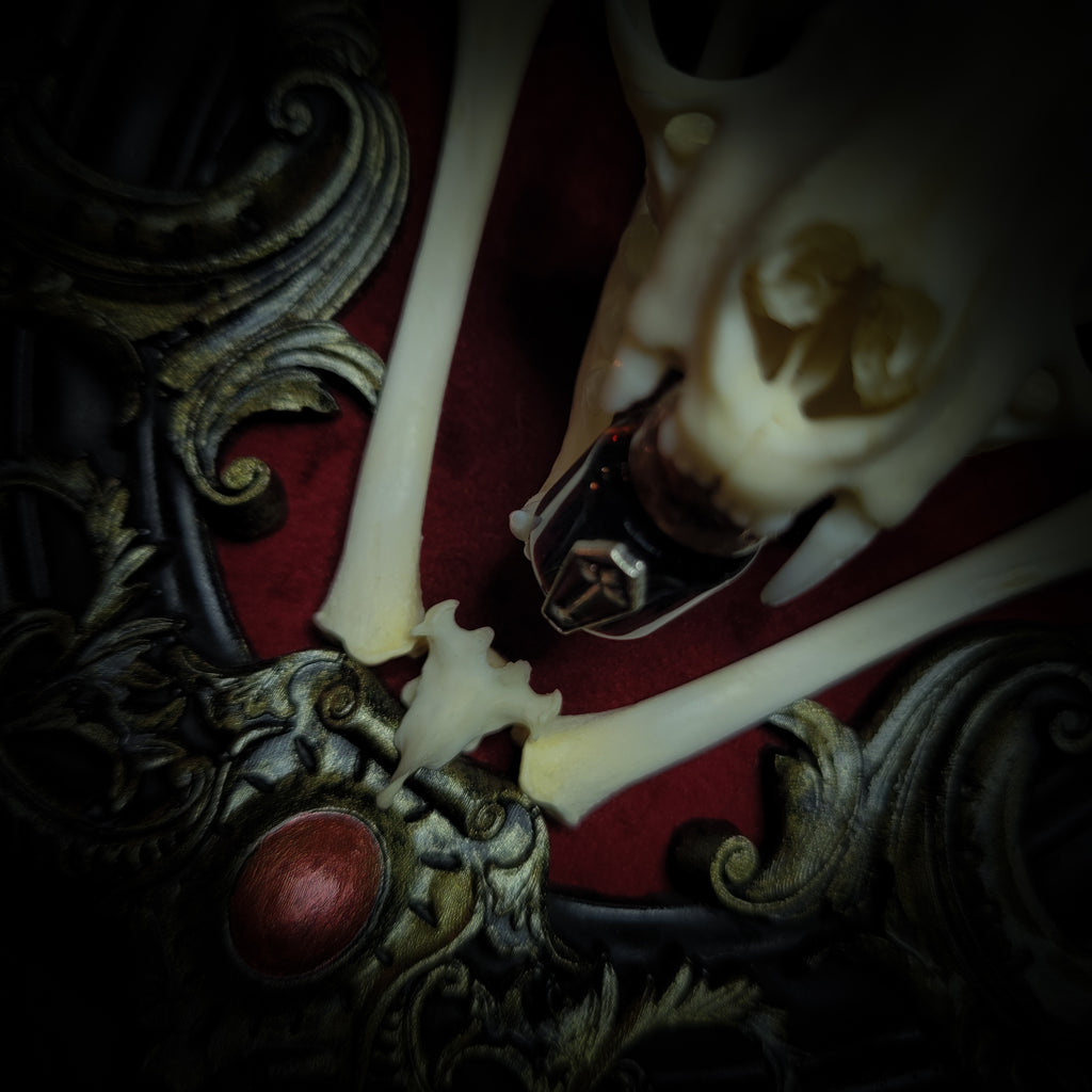 Close-up of a decorative object with intricate designs and red accents. Baroque Kitten – real cat skull on red velvet in hand-cast baroque frame, gothic vampire wall decor