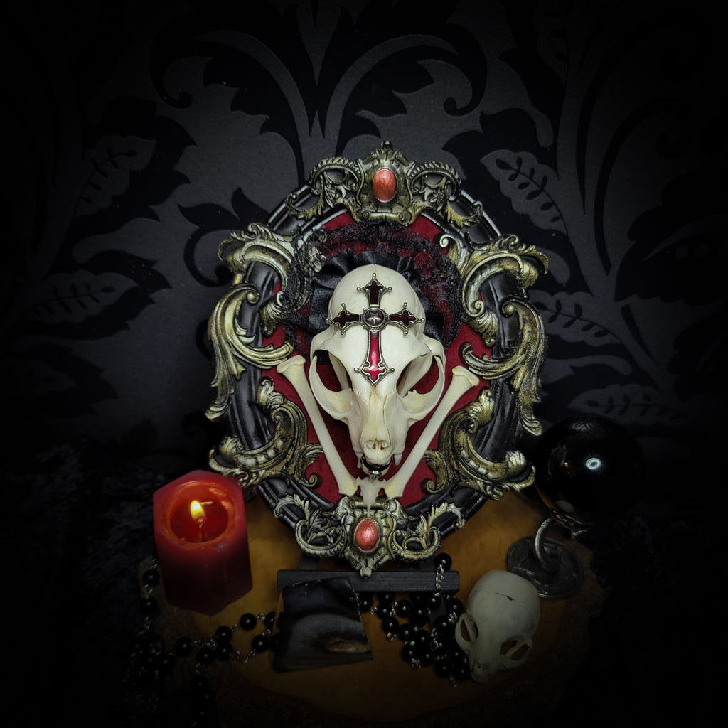 Decorative skull with ornate frame and candle on a dark background Baroque Kitten – real cat skull on red velvet in hand-cast baroque frame, gothic vampire wall decor