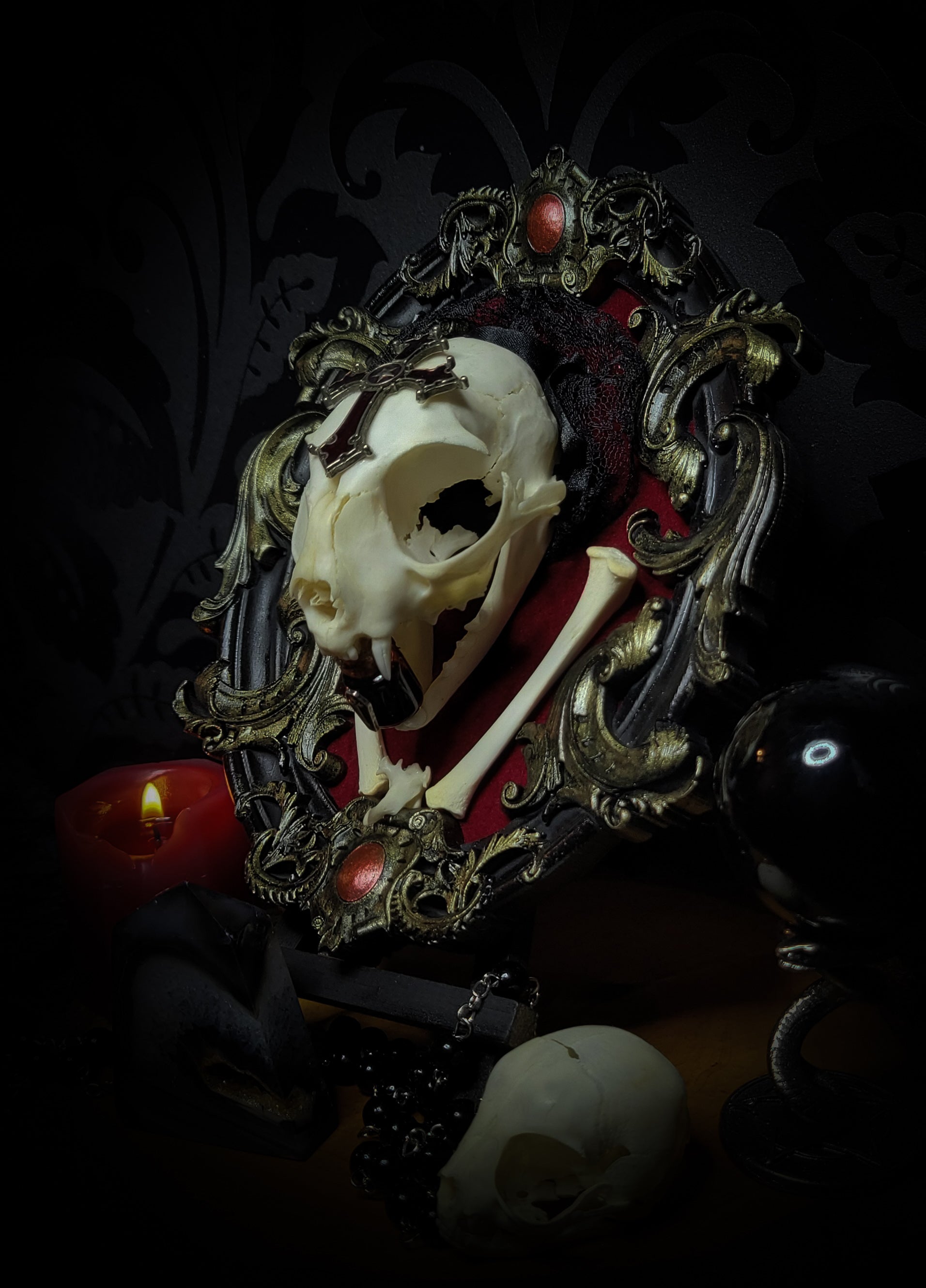 Decorative skull with ornate frame on a dark background Baroque Kitten – real cat skull on red velvet in hand-cast baroque frame, gothic vampire wall decor