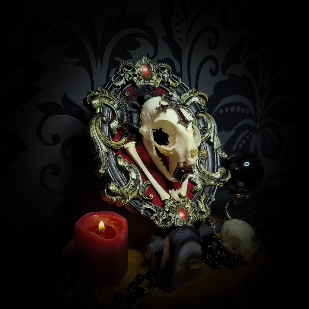 Decorative skull with ornate frame and red accents on a dark background with a candle. Baroque Kitten – real cat skull on red velvet in hand-cast baroque frame, gothic vampire wall decor