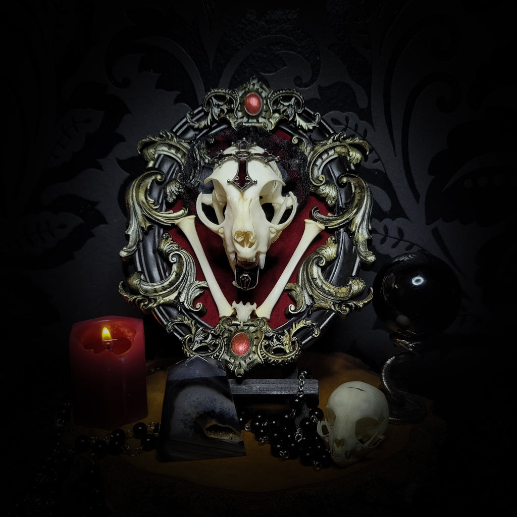 Decorative piece with skull and ornate frame on a dark background Baroque Kitten – real cat skull on red velvet in hand-cast baroque frame, gothic vampire wall decor