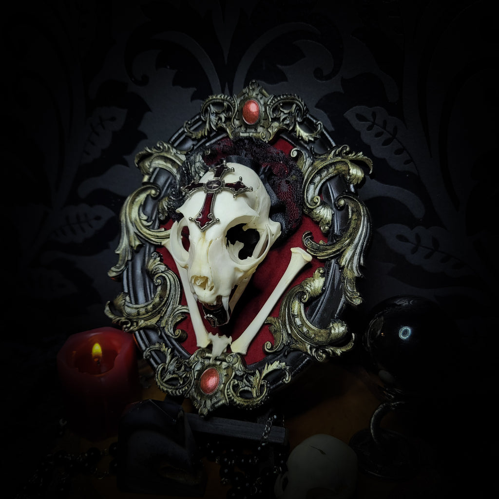 Decorative skull with ornate frame and red gemstones on a dark background Baroque Kitten – real cat skull on red velvet in hand-cast baroque frame, gothic vampire wall decor