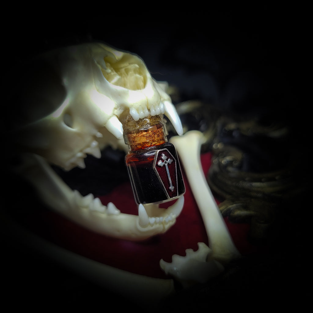 Vampire fang with a small bottle inside against a dark background Baroque Kitten – real cat skull on red velvet in hand-cast baroque frame, gothic vampire wall decor