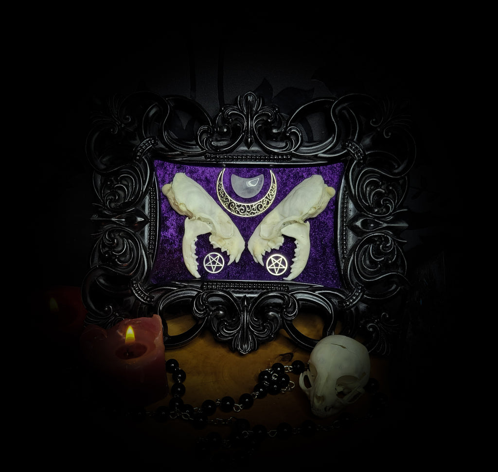 Lunaris Divination | Gothic — handmade gothic wall decor with real mink skull halved symmetrically, crystal quartz crescent moon, pentacle charms on deep purple velvet in ornate black baroque frame, 20x16cm