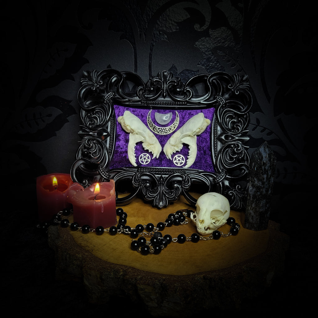 Lunaris Divination | Gothic — handmade gothic wall decor with real mink skull halved symmetrically, crystal quartz crescent moon, pentacle charms on deep purple velvet in ornate black baroque frame, 20x16cm