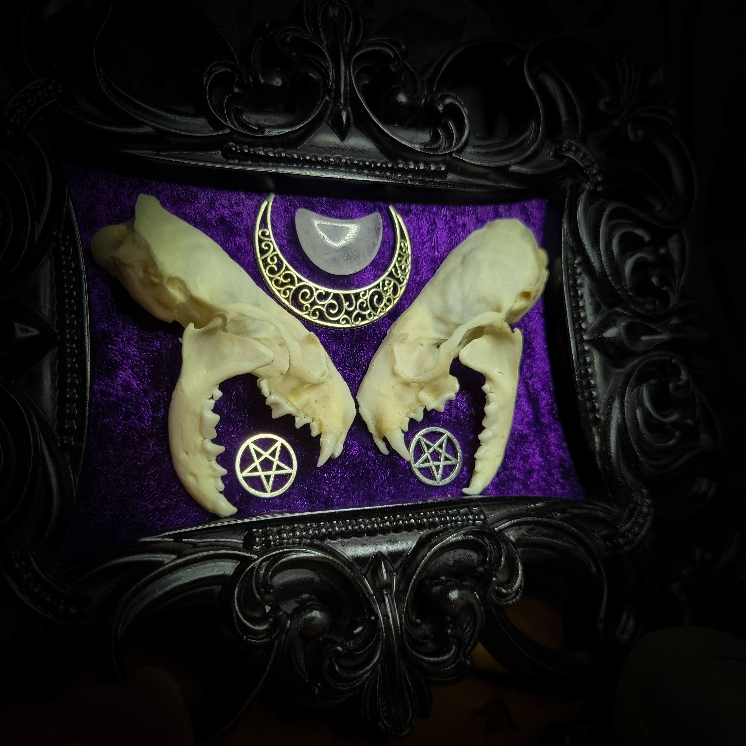 Lunaris Divination | Gothic