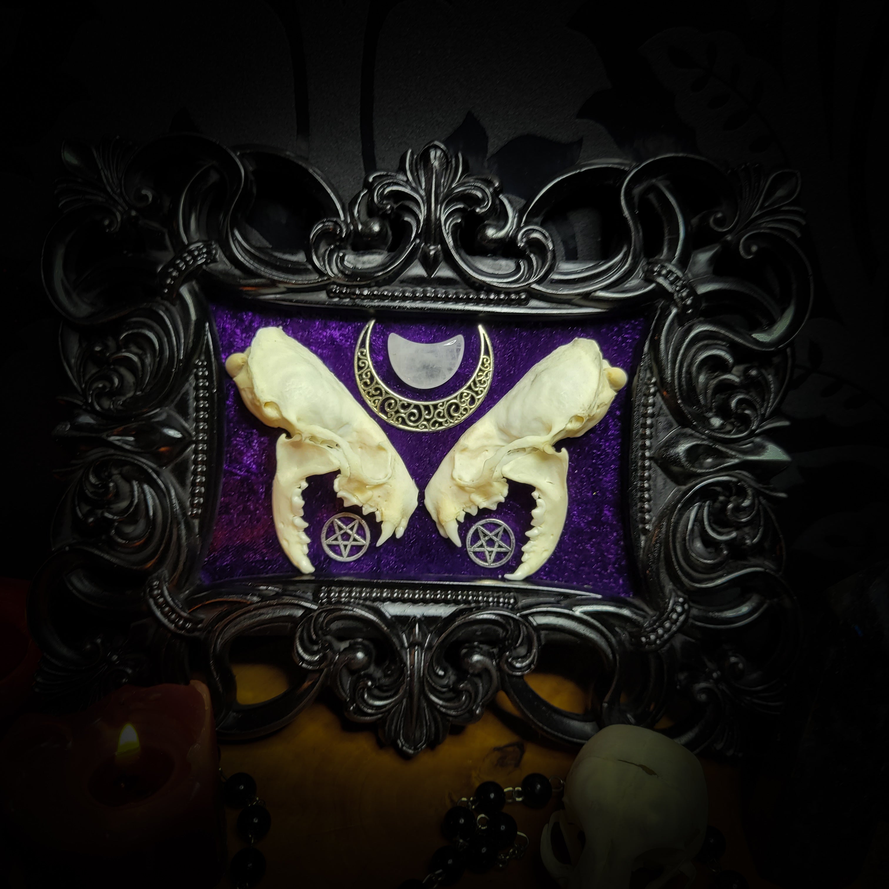 Lunaris Divination | Gothic — handmade gothic wall decor with real mink skull halved symmetrically, crystal quartz crescent moon, pentacle charms on deep purple velvet in ornate black baroque frame, 20x16cm