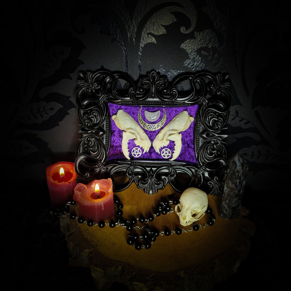 Lunaris Divination | Gothic — handmade gothic wall decor with real mink skull halved symmetrically, crystal quartz crescent moon, pentacle charms on deep purple velvet in ornate black baroque frame, 20x16cm