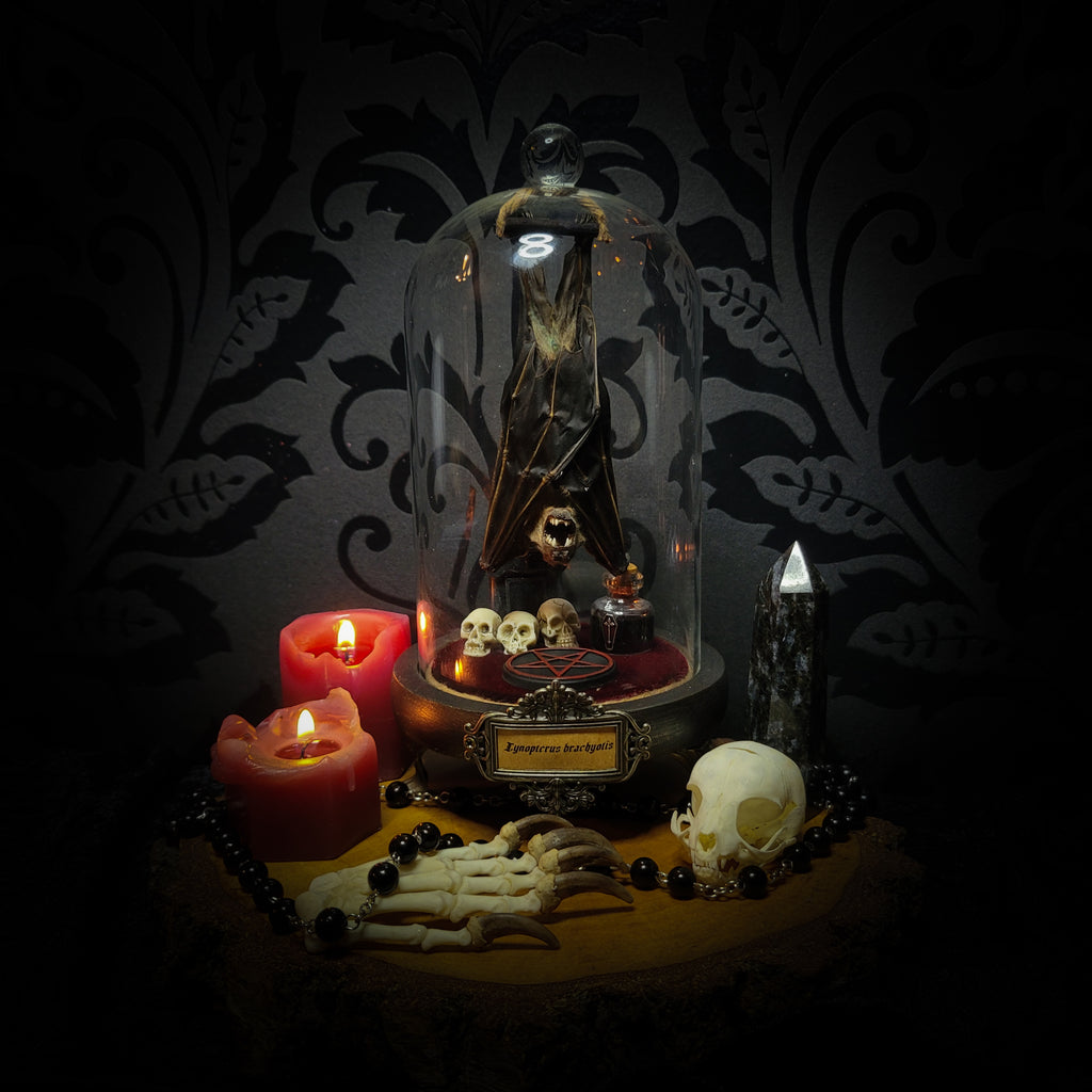 Occultia — handmade gothic glass dome display, made to order. Bat specimen under glass cloche on hand-painted wooden base with ritual sigil, miniature skulls and Latin species nameplate. Occult gothic decor, 21x12cm.