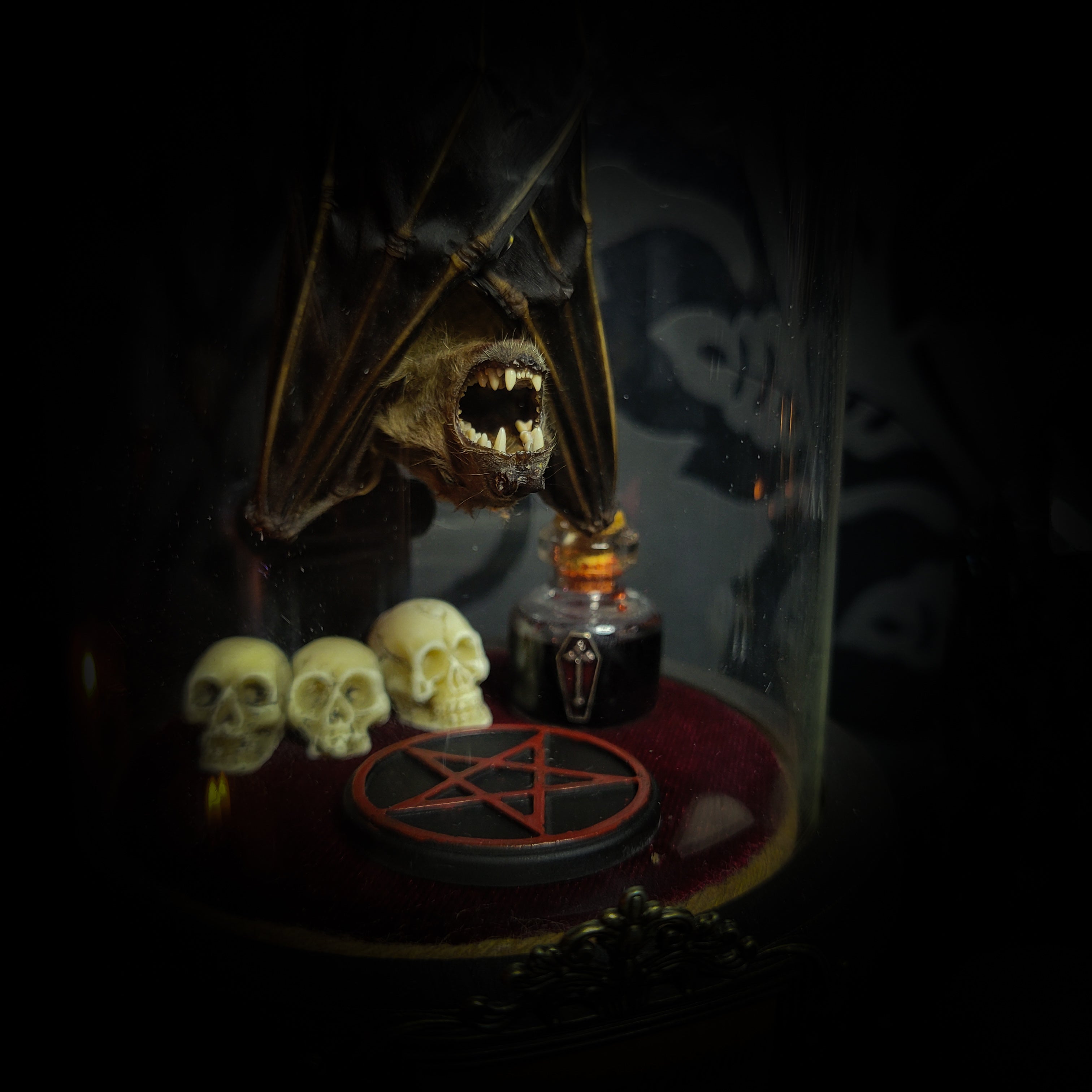 Occultia — handmade gothic glass dome display, made to order. Bat specimen under glass cloche on hand-painted wooden base with ritual sigil, miniature skulls and Latin species nameplate. Occult gothic decor, 21x12cm.