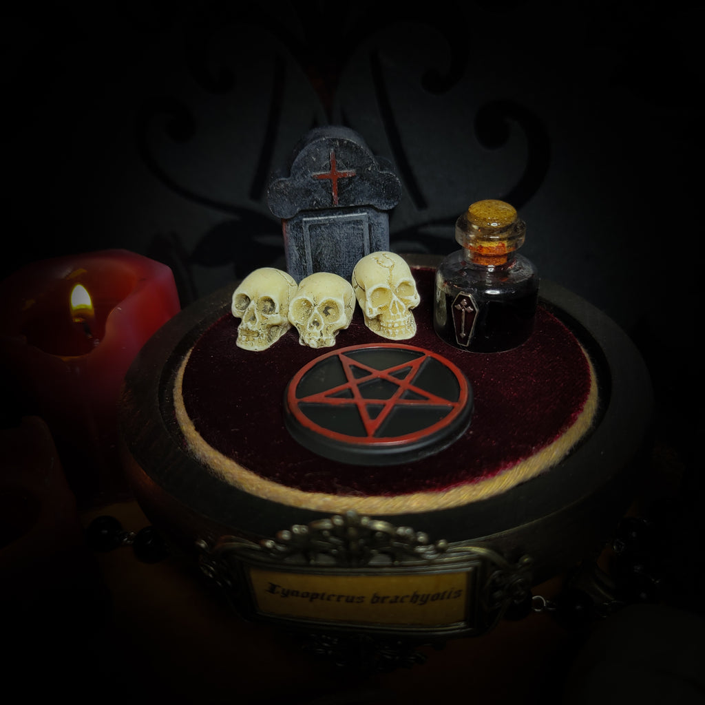 Occultia — handmade gothic glass dome display, made to order. Bat specimen under glass cloche on hand-painted wooden base with ritual sigil, miniature skulls and Latin species nameplate. Occult gothic decor, 21x12cm.
