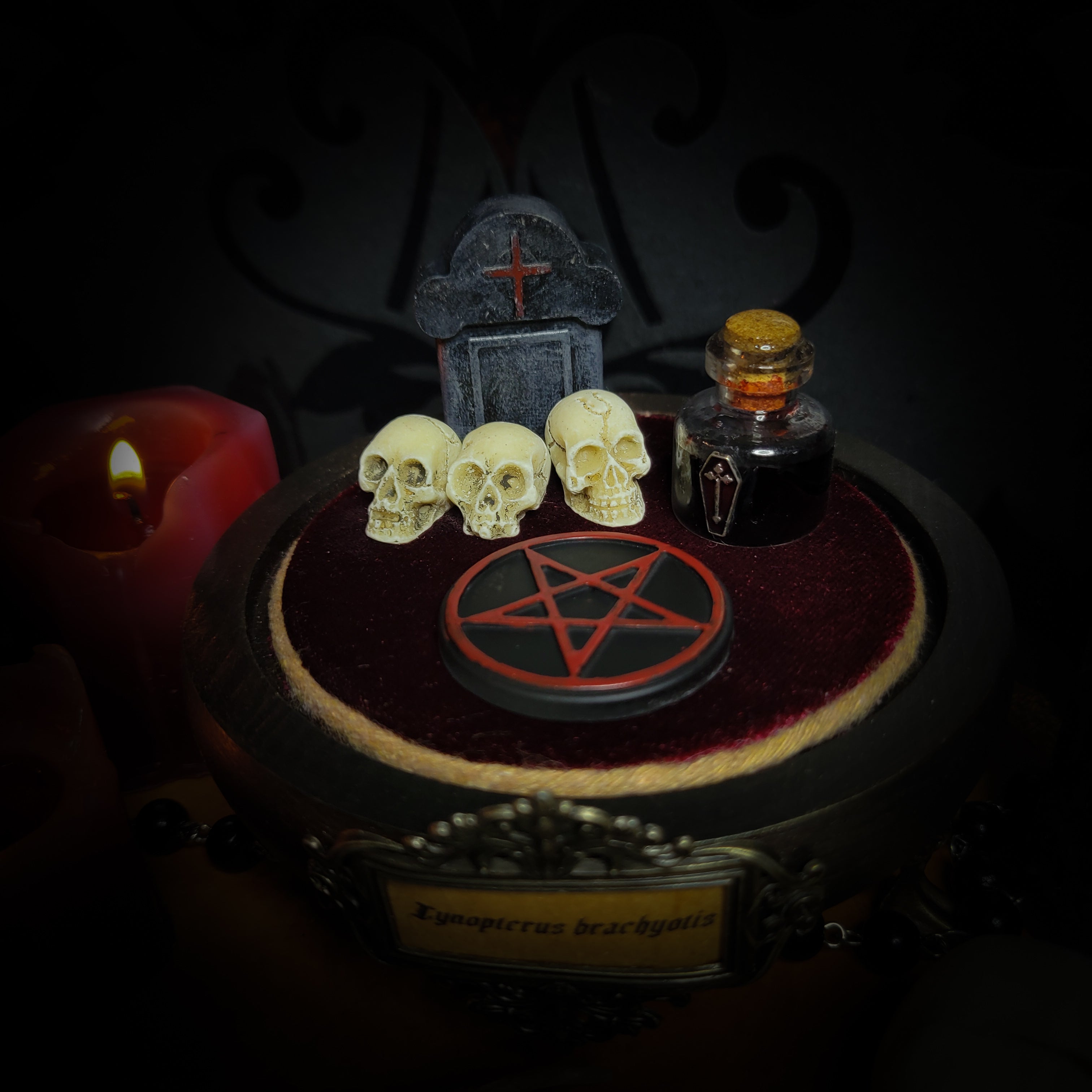 Occultia — handmade gothic glass dome display, made to order. Bat specimen under glass cloche on hand-painted wooden base with ritual sigil, miniature skulls and Latin species nameplate. Occult gothic decor, 21x12cm.