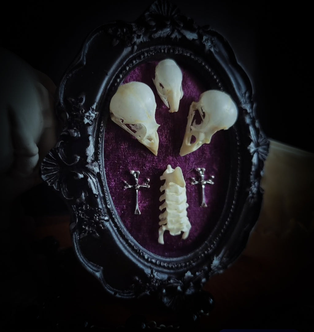 Velora | Small Relics — handmade gothic wall decor with two real bird skulls, mouse skull and rat spine section in hand-painted frame on deep purple velvet, dark macabre aesthetic, 12x10cm