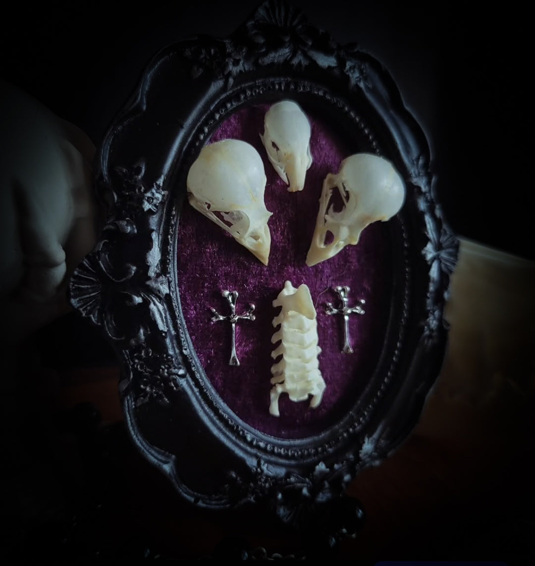 Velora | Small Relics — handmade gothic wall decor with two real bird skulls, mouse skull and rat spine section in hand-painted frame on deep purple velvet, dark macabre aesthetic, 12x10cm