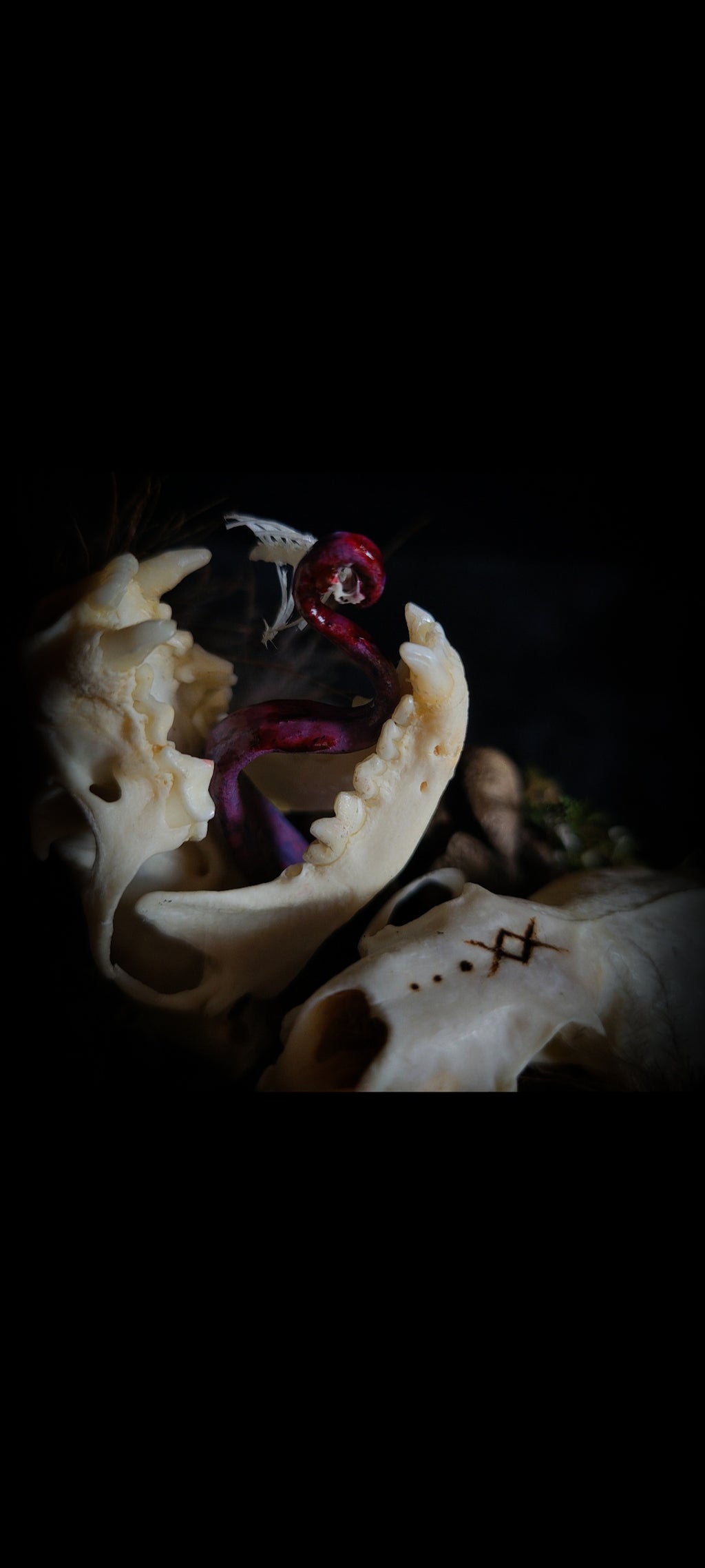 Hungry Minks | Woodland — handmade gothic decor with two real mink skulls, sculpted tongues, runes, bird bones, feathers and forest moss under glass dome on hand-painted wooden base, 11x13.5cm