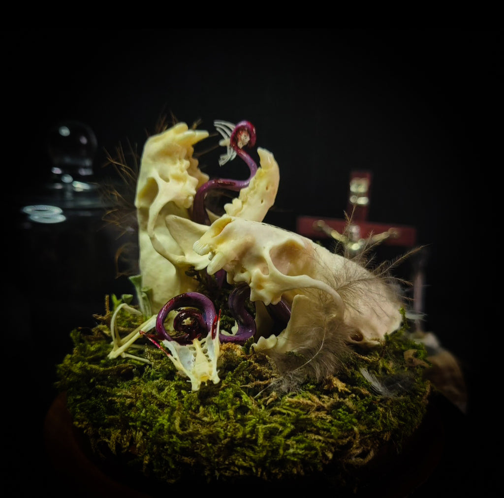 Hungry Minks | Woodland — handmade gothic decor with two real mink skulls, sculpted tongues, runes, bird bones, feathers and forest moss under glass dome on hand-painted wooden base, 11x13.5cm