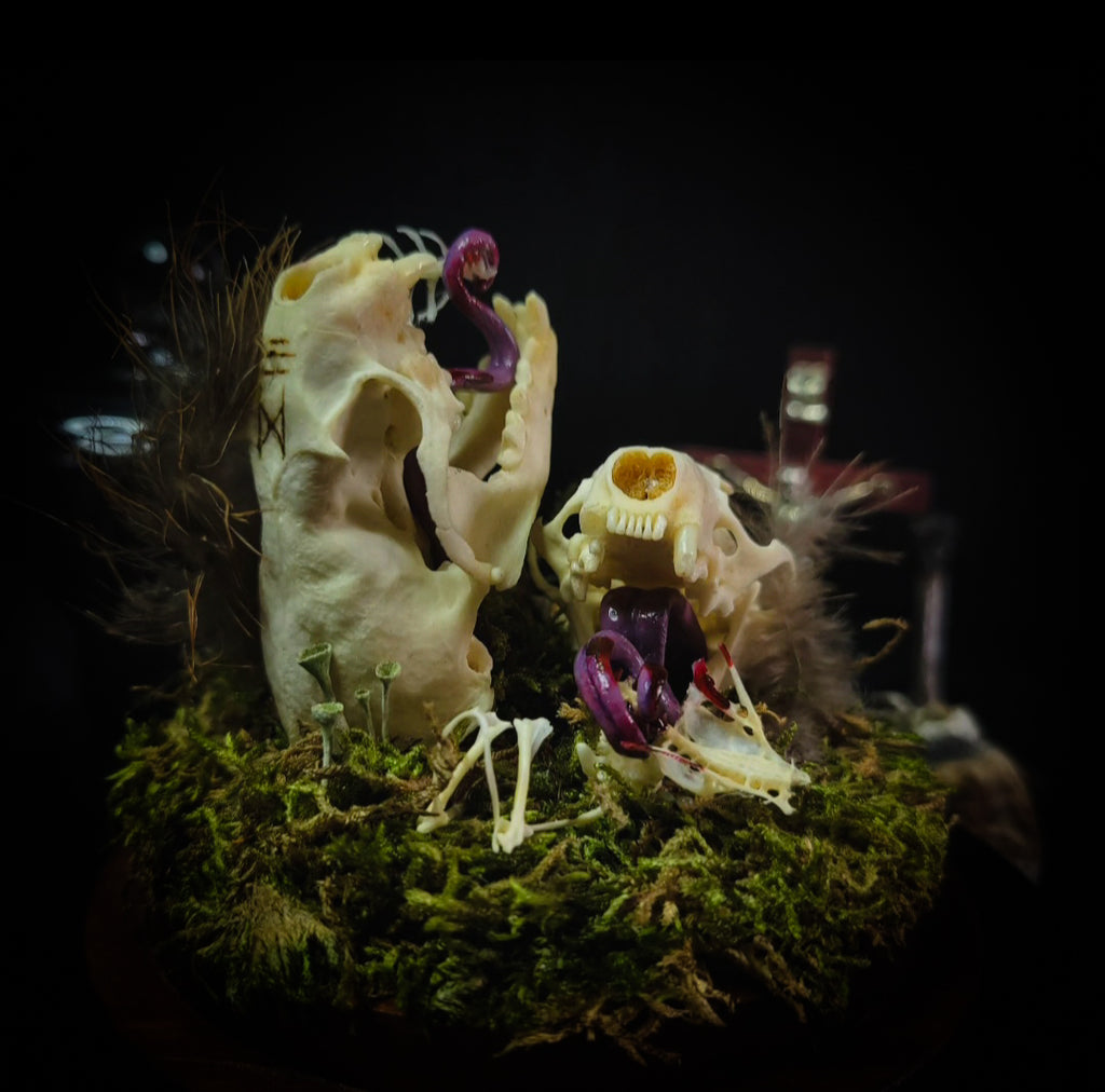 Hungry Minks | Woodland — handmade gothic decor with two real mink skulls, sculpted tongues, runes, bird bones, feathers and forest moss under glass dome on hand-painted wooden base, 11x13.5cm